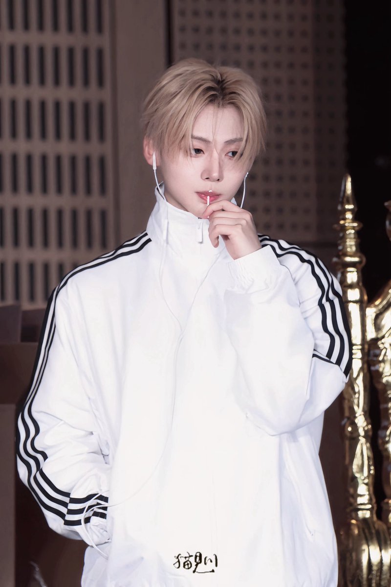 遊歩、 tweet media