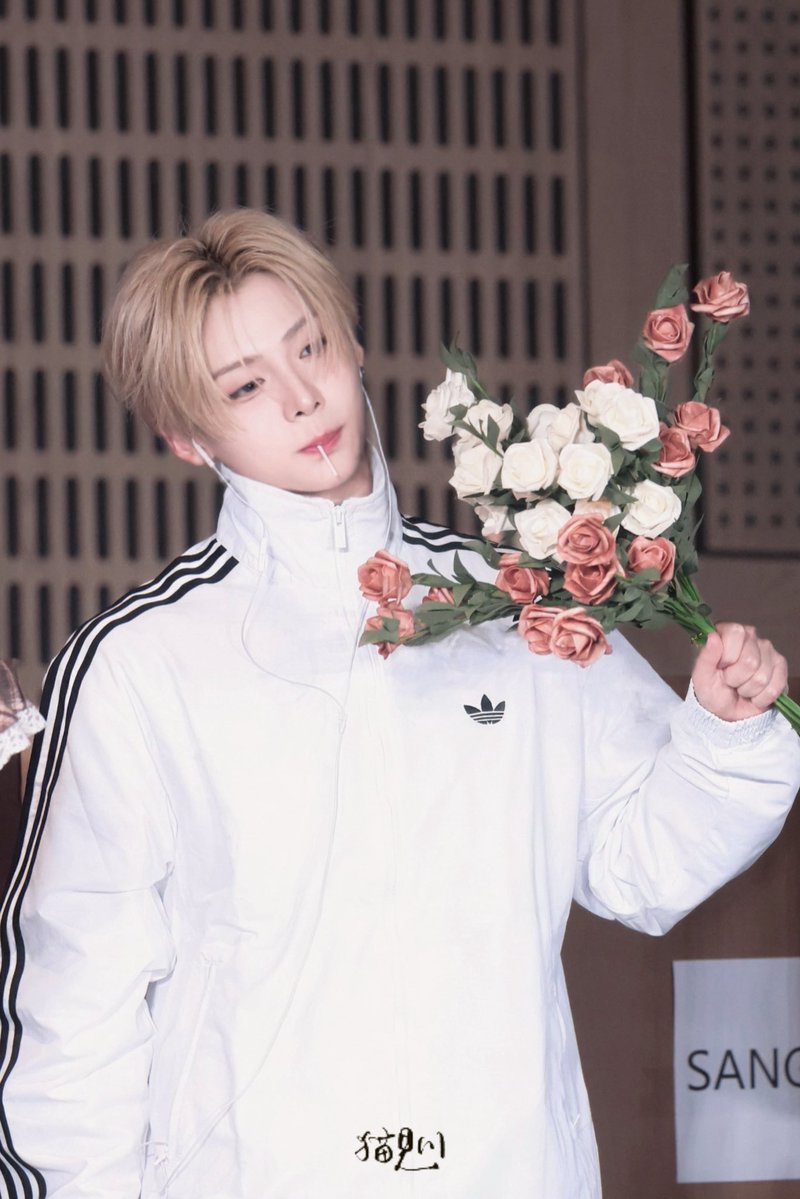 遊歩、 tweet media