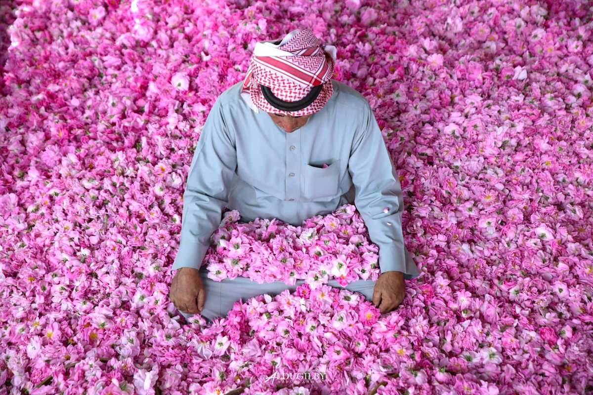 مشعل السفياني tweet media