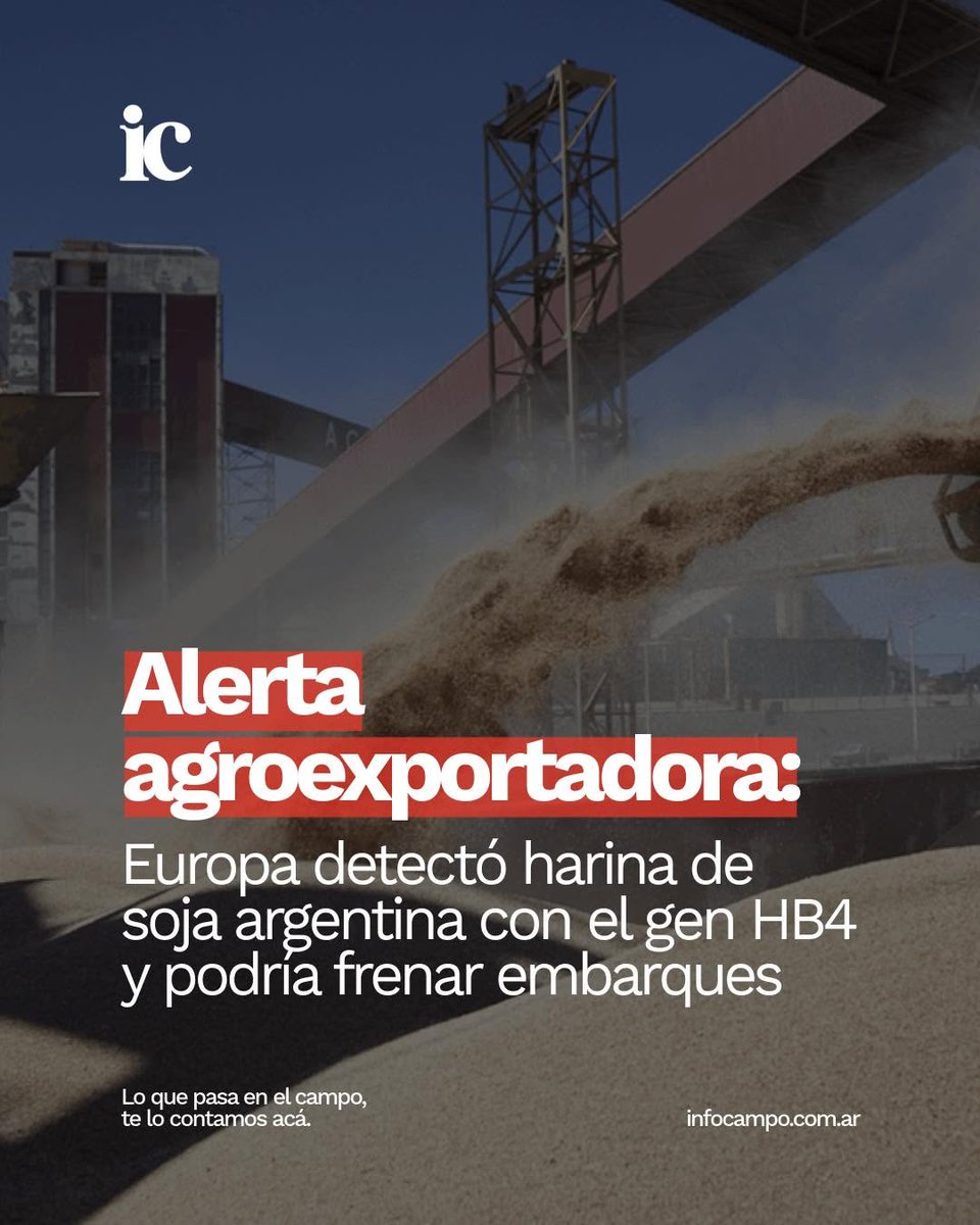 ancelmo70 tweet media