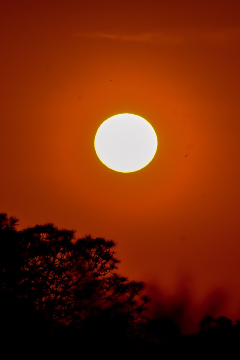 JaramilloJunio's tweet image. Entre colores que no se repiten y momentos que no vuelven 🌅✨
#Atardecer #GoldenHour #Vibes #Naturaleza #JaJaJaramillo