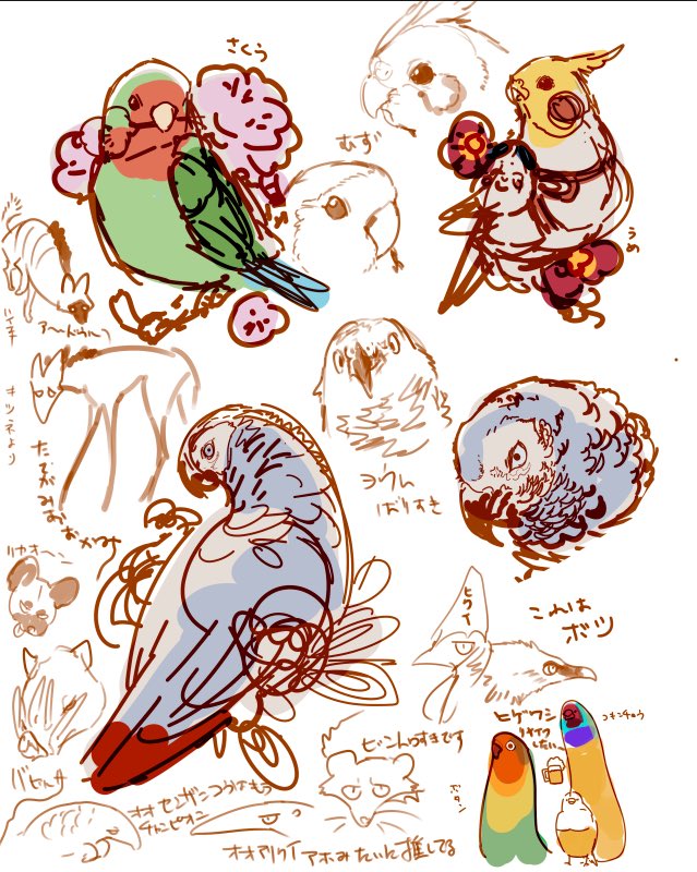 このへんは清書して切り絵にする予定です!
イロワケイルカ大好き
インコたちは顔がむずくて難航中 