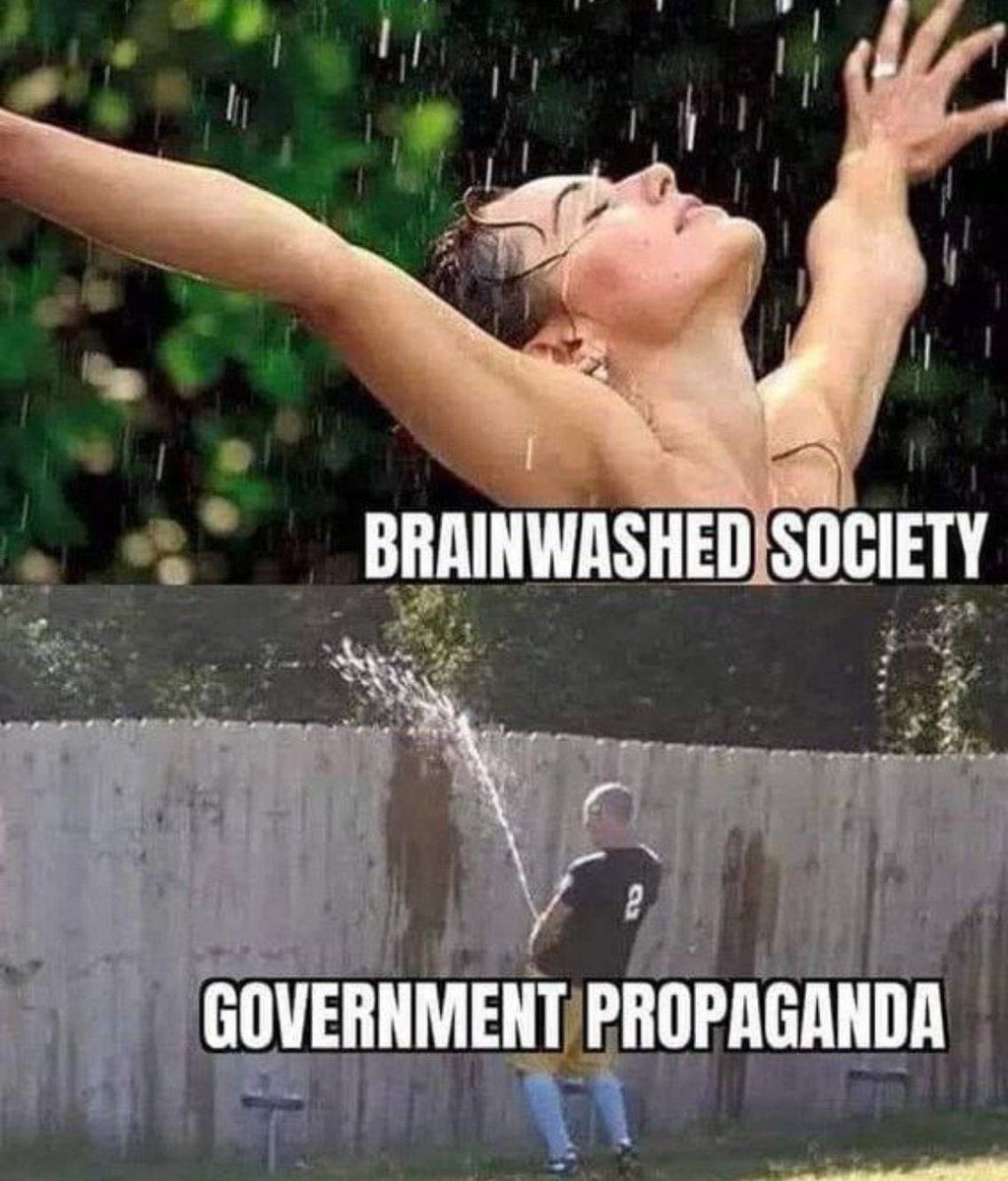 Sir Doge of the Coin ⚔️ tweet media