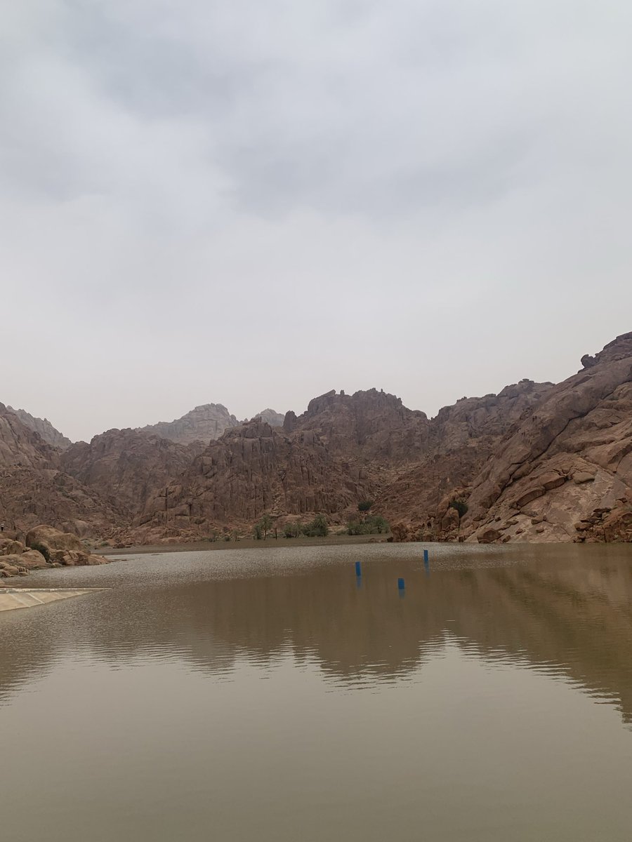 Al Mutairi Shaima tweet media