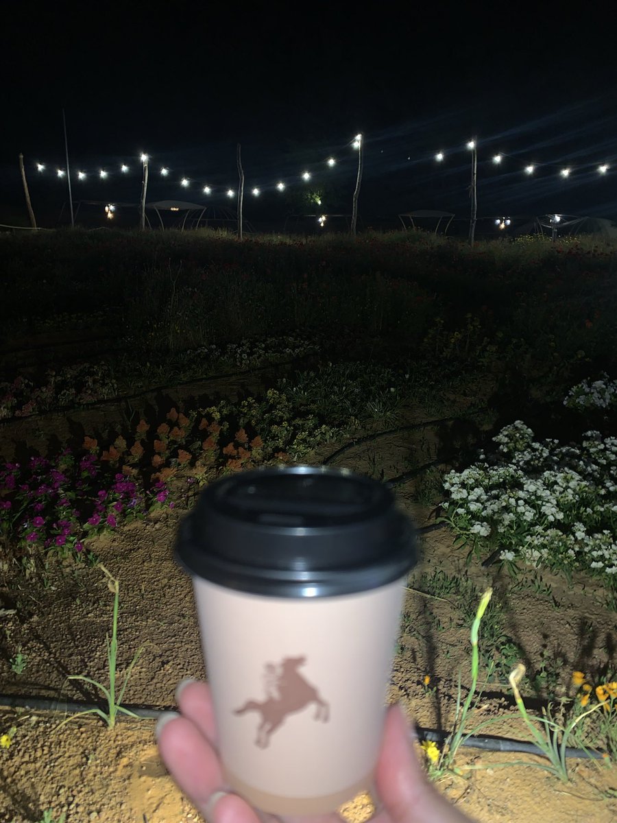 Al Mutairi Shaima tweet media