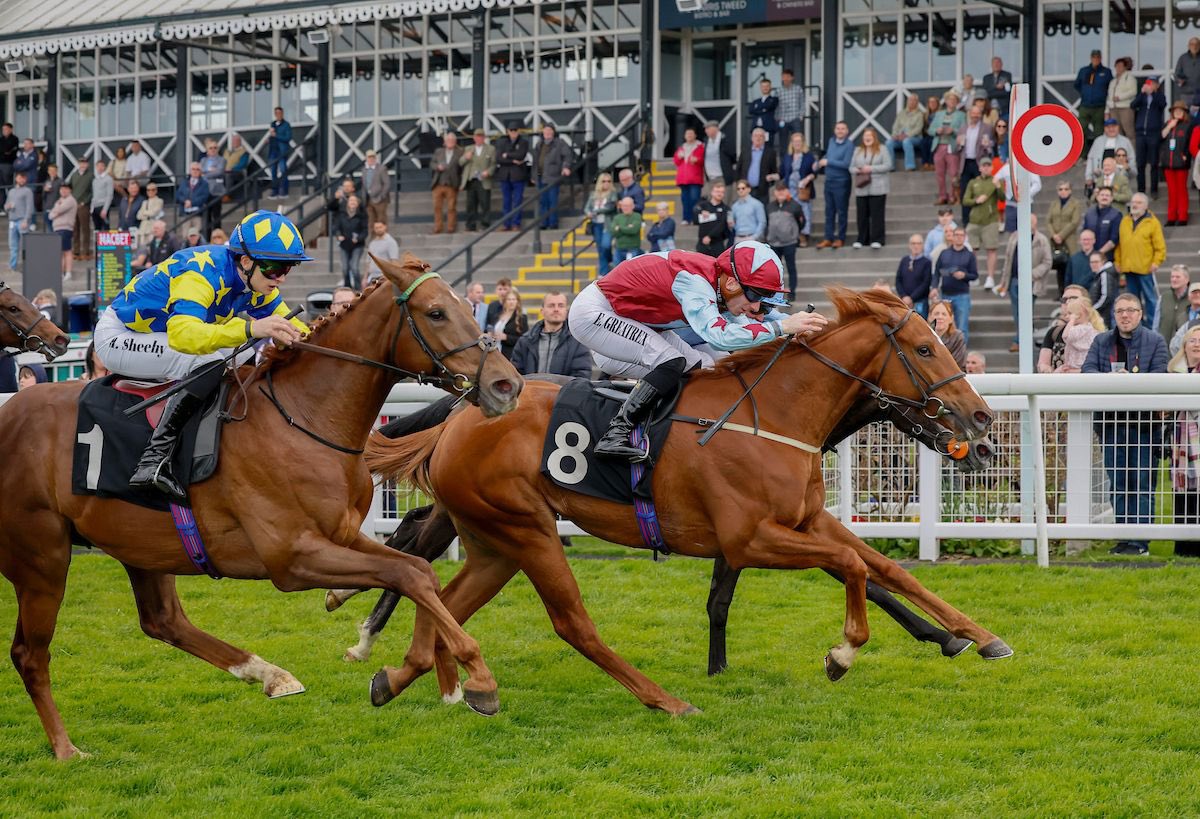 Jack Channon Racing tweet media