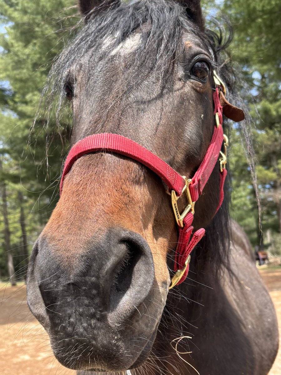 ︎︎ ᅠᅠᅠᅠ ᅠᅠᅠᅠ ᅠᅠ ᅠᅠᅠᅠ ᅠᅠᅠᅠَ َꩇׁׅ݊aₗᵢ⌣ k͟𝐚͟. ˒ tweet media