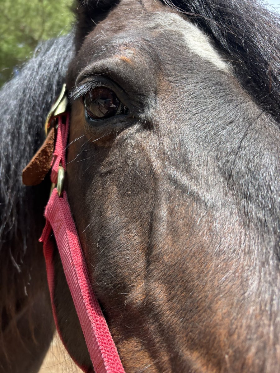 ︎︎ ᅠᅠᅠᅠ ᅠᅠᅠᅠ ᅠᅠ ᅠᅠᅠᅠ ᅠᅠᅠᅠَ َꩇׁׅ݊aₗᵢ⌣ k͟𝐚͟. ˒ tweet media