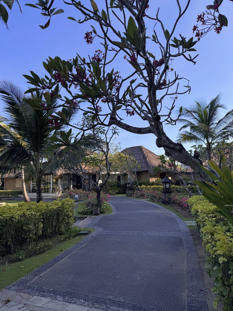 sayabeng's tweet photo. more of the place 🌴🏖️ https://t.co/Lzyc8Qtgh4