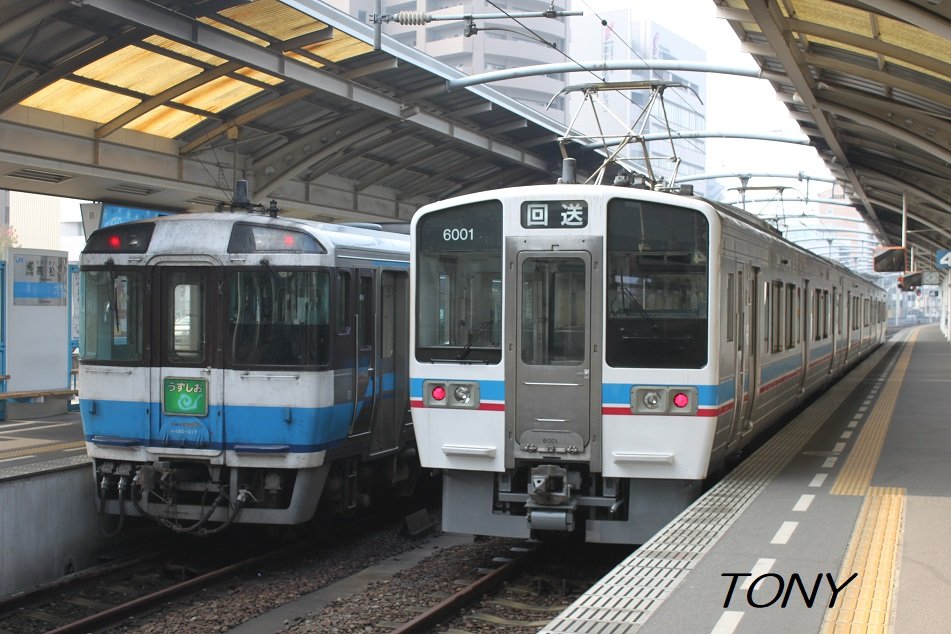 ◆とにっき◆ 猫、鉄道、とりとめなく… tweet media