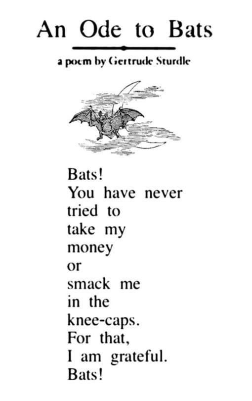spookyxxboobs's tweet photo. bats are the best https://t.co/QqWnKhaHsm