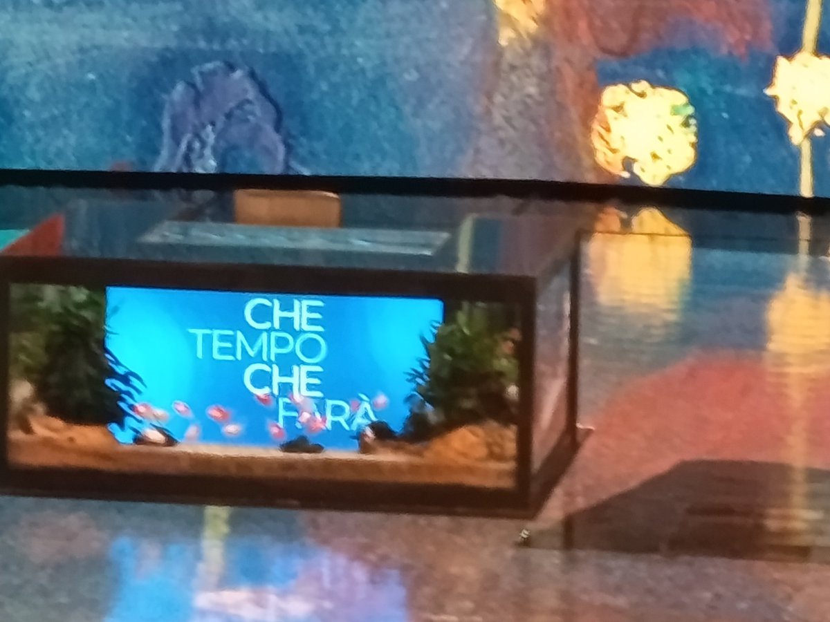 oiɿoƚƚiV tweet media