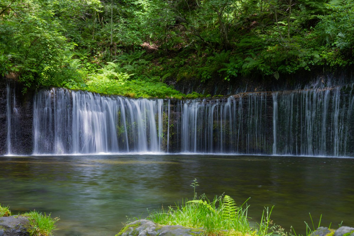 JTB〈公式〉国内旅行・海外旅行✈ tweet media