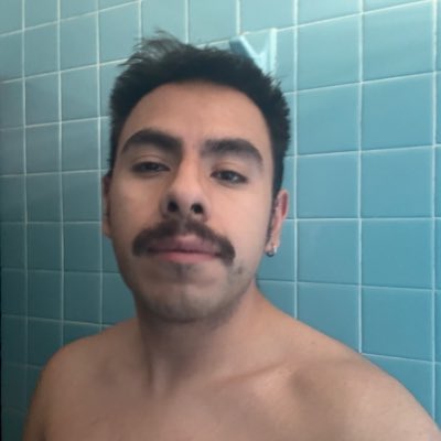 Noé tweet media