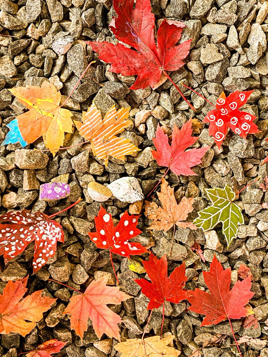 Jean Neff tweet media