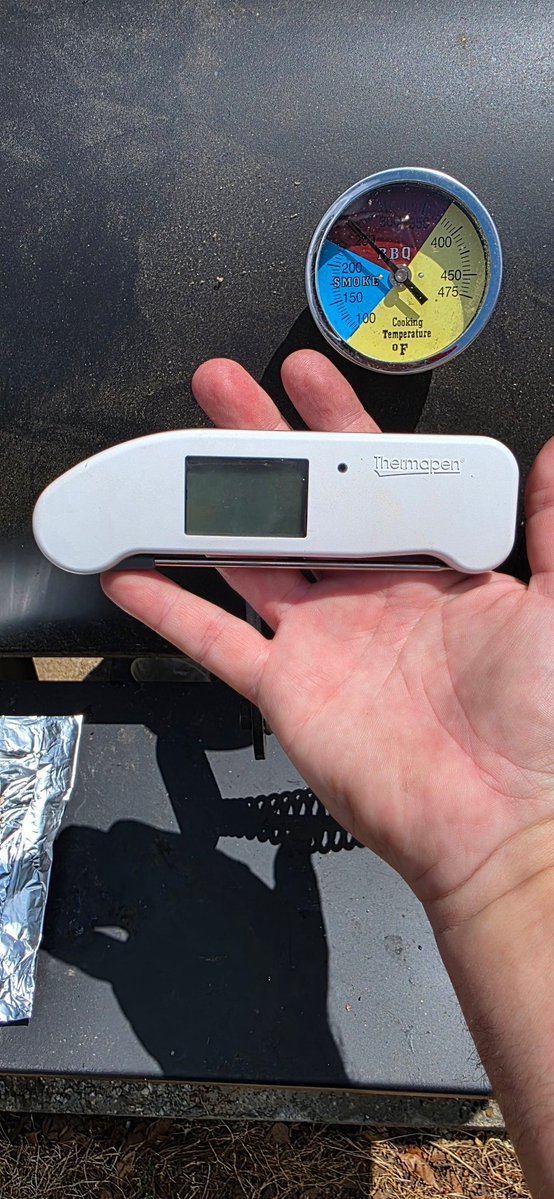 WessyBear tweet media