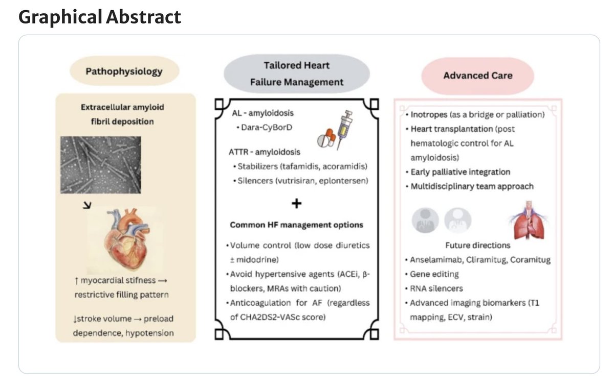Ed_Alania's tweet photo. 🔴Tailoring heart failure management in cardiac amyloidosis #Cardiology #CardioEd #Amyloidosis #ATTR https://t.co/3ms9k8cehU