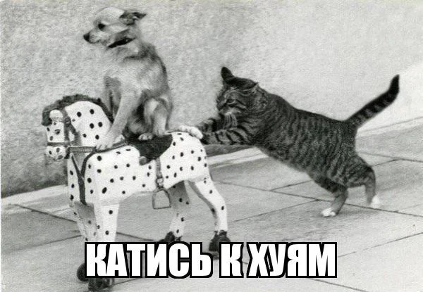 Полковник РВСН tweet media