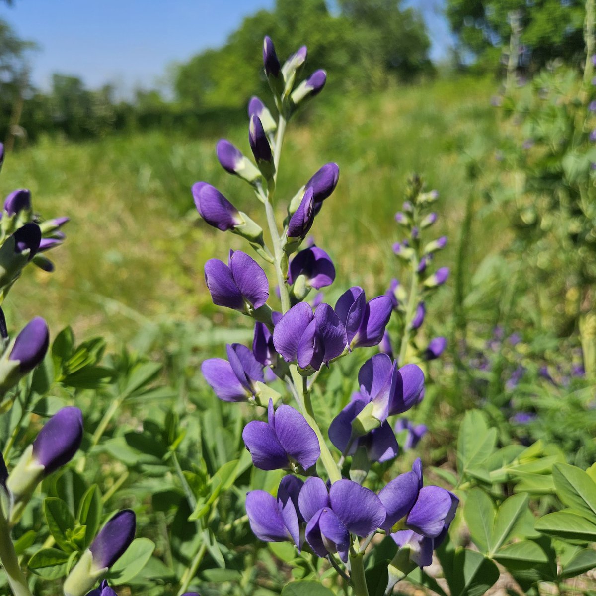 🍃 𝐵𝑒𝓃 🌪️👻🎮 tweet media