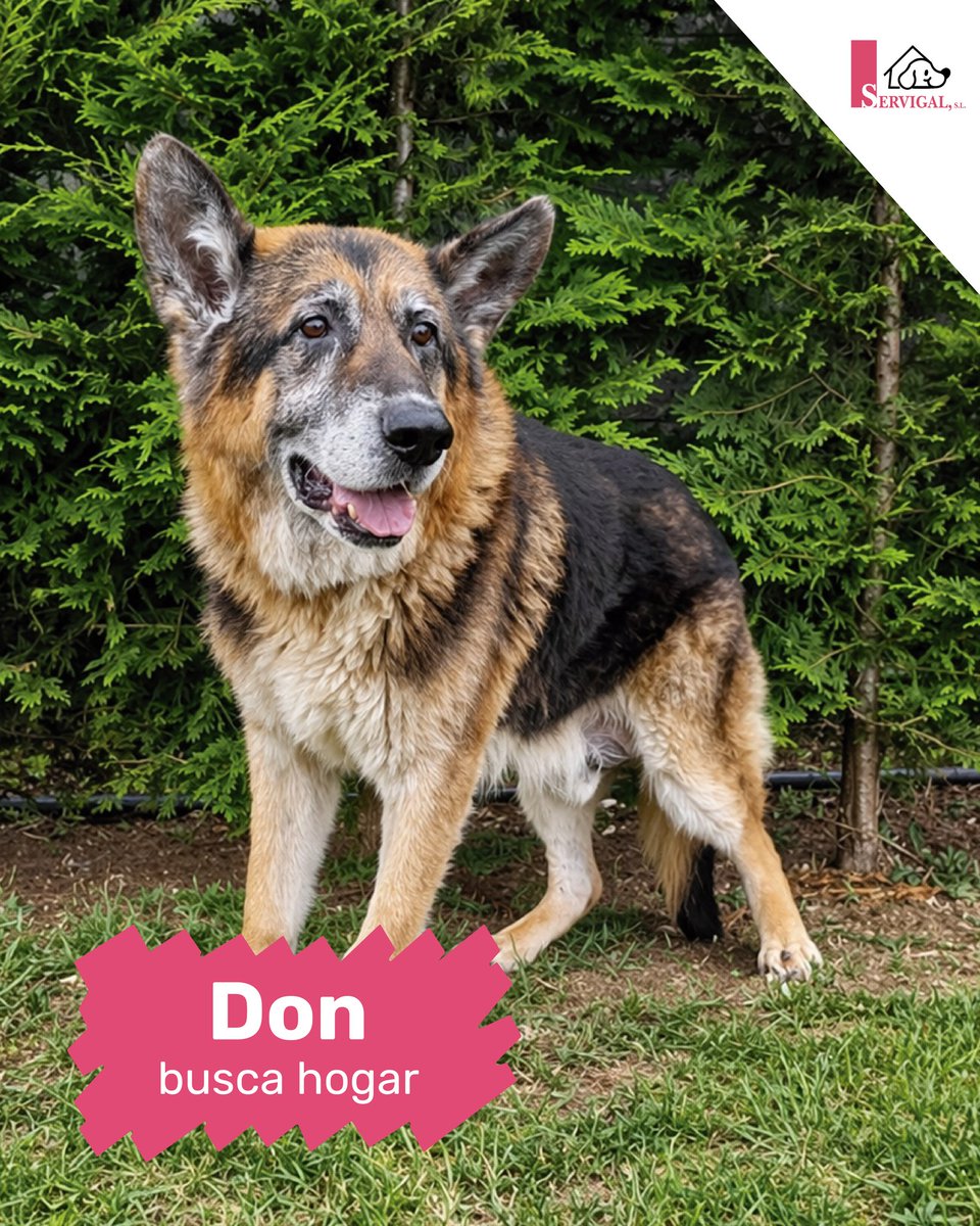 SOS Abuelos tweet media