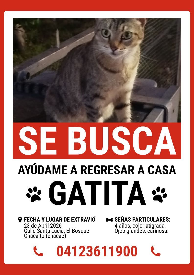 Se busca en el Bosque, Chacaito