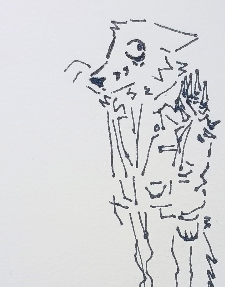 CARRiOFF tweet media