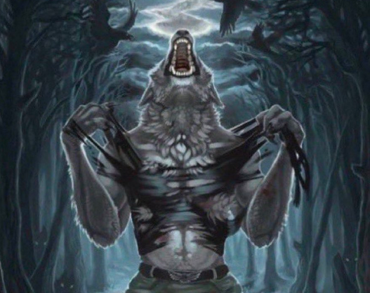 rafael lange tweet media