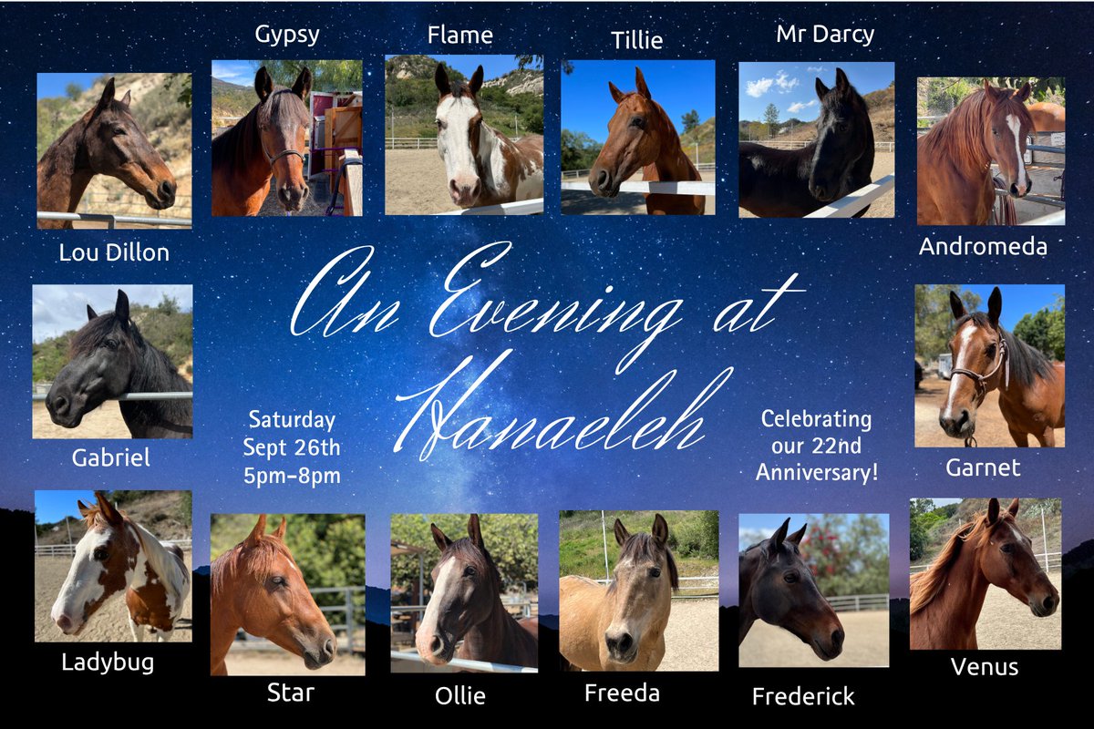 Hanaeleh's tweet photo. SAVE THE DATE!
Saturday, September 26th | 5:00 – 8:00 PM
An Evening at Hanaeleh: Celebrating 22 Years of Horse Rescue

We’re turning 22 and you’re invited!

Tickets will be available soon! https://t.co/ZWoLS3nBDs