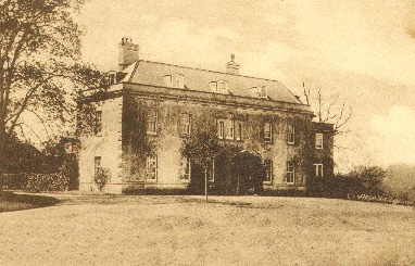 ben weller 🪴 ✟ tweet media