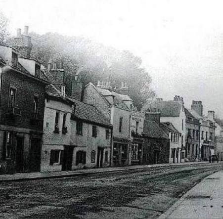 ben weller 🪴 ✟ tweet media