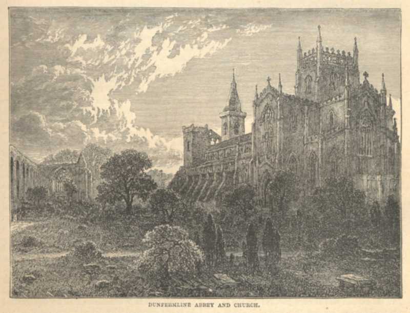 ben weller 🪴 ✟ tweet media