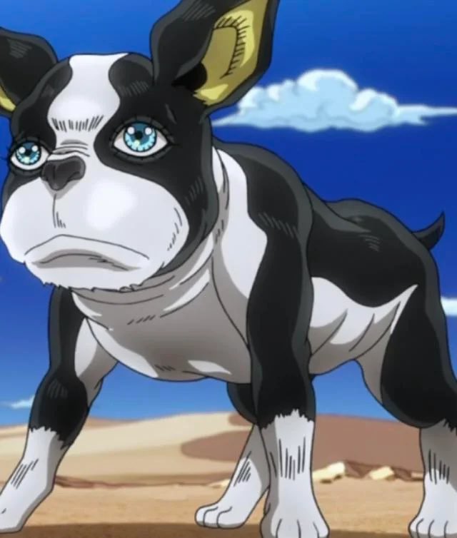 📷Aya Shameimaru Real🐦‍⬛ tweet media