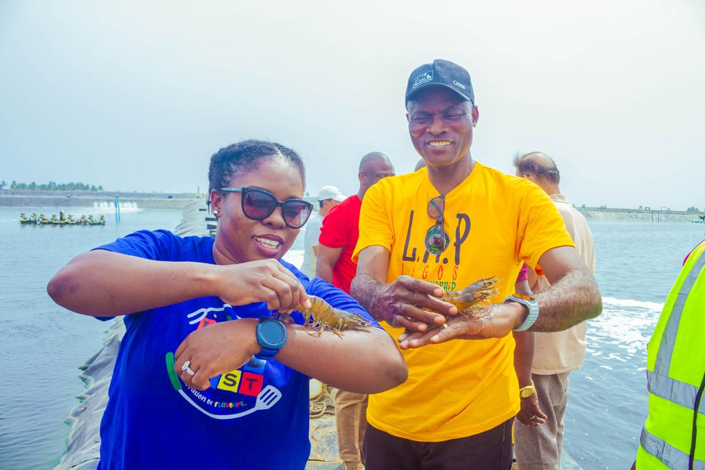 Farmer Akin Alabi® tweet media