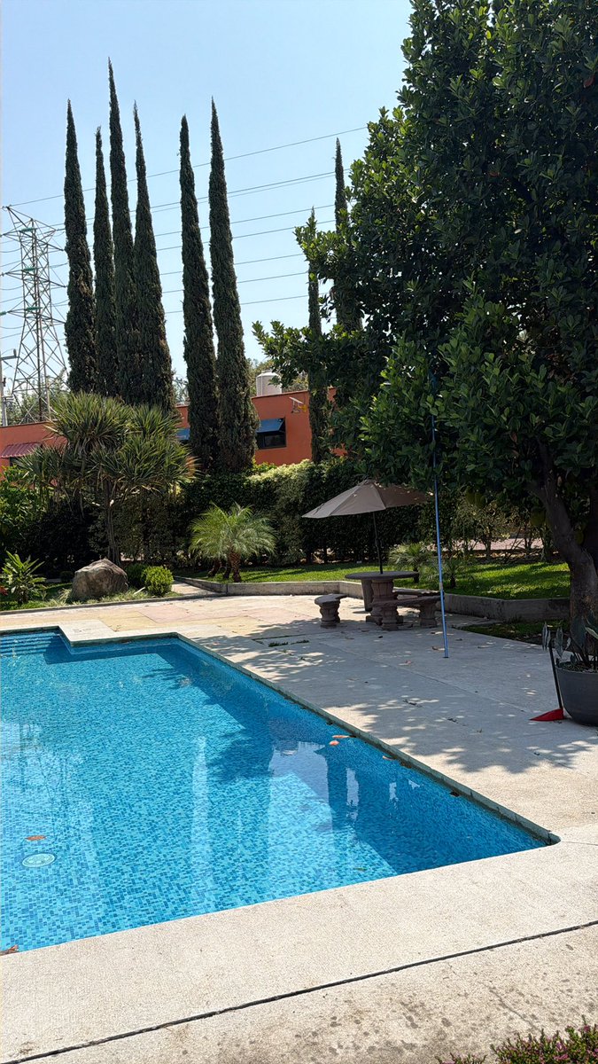 HOTEL_BURGOS's tweet photo. 💦 Ven a disfrutar tu fin de semana como se debe 💦🌞

Escápate de la rutina y relájate en la alberca 🏖️
Sol, agua 

✨ Ideal para descansar, refrescarte y pasarla bien https://t.co/s5fganb8OS