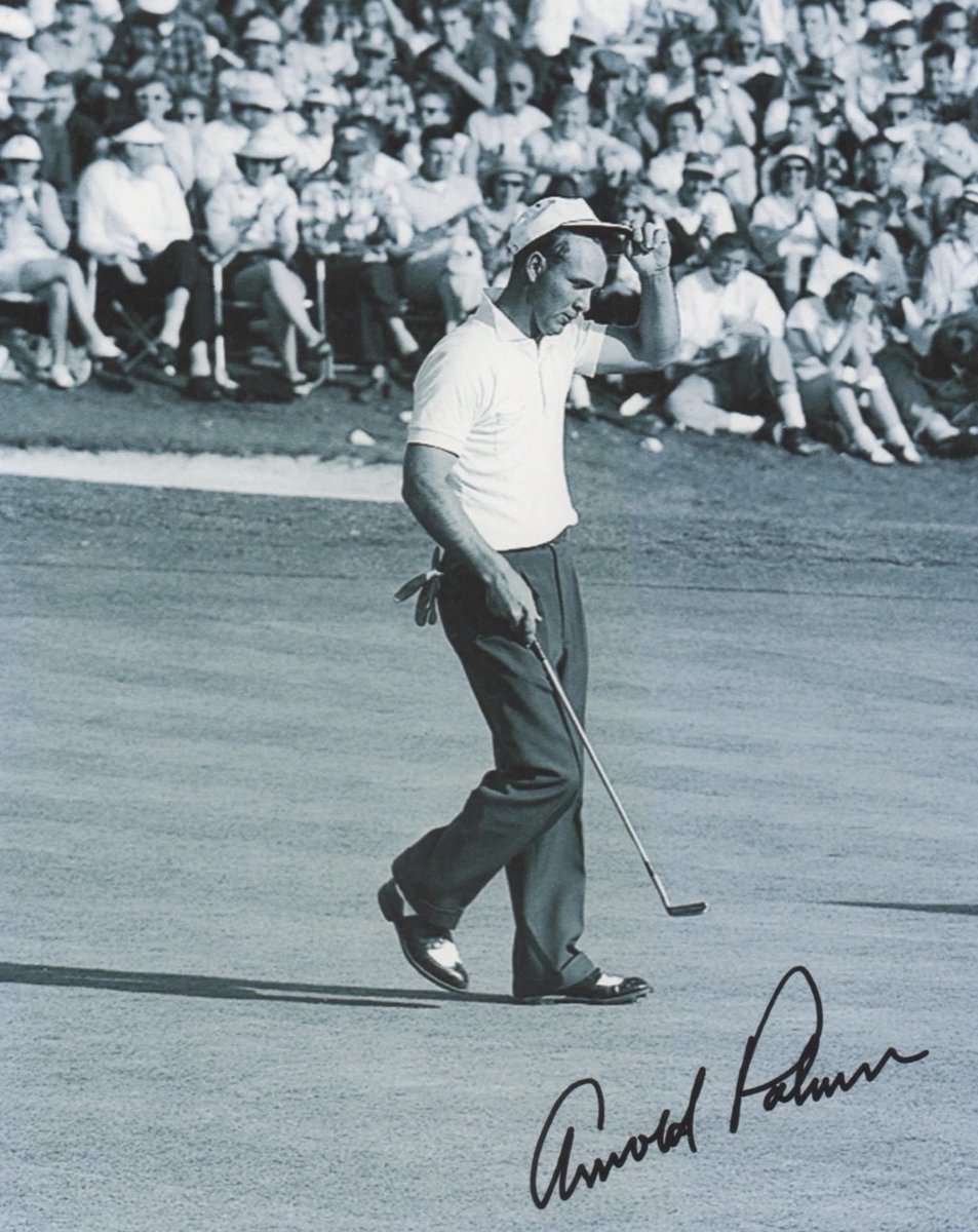 TheGolfDivoTee™  tweet media