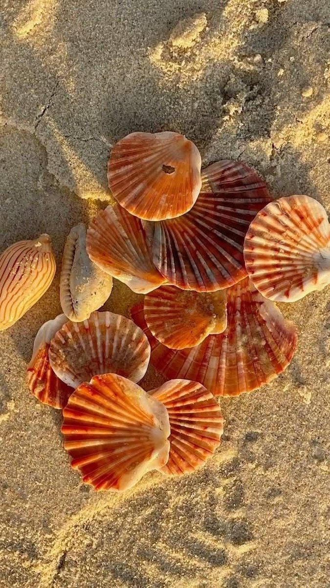 naturehealyou's tweet photo. summer core https://t.co/Uv3HVAk2j2
