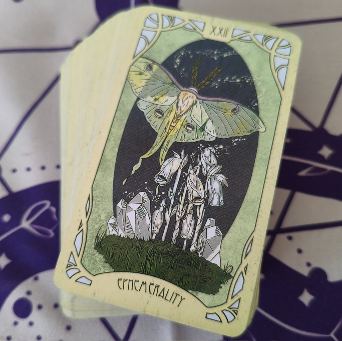 Magik ❤️‍🔥 — Tarot & Design tweet media