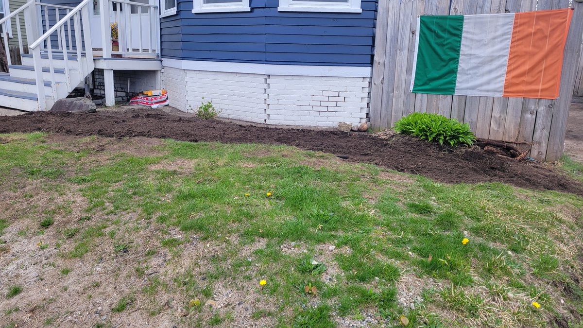 Hikikamore tweet media