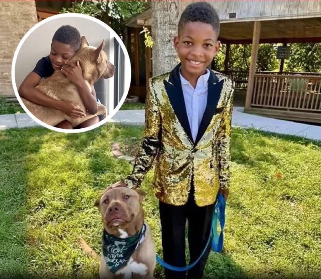 Puppieslover's tweet photo. Young Cai dressed up in a fancy suit to adopt his first dog, saying it was “a special occasion” ❤️ https://t.co/4BhXab7aY5