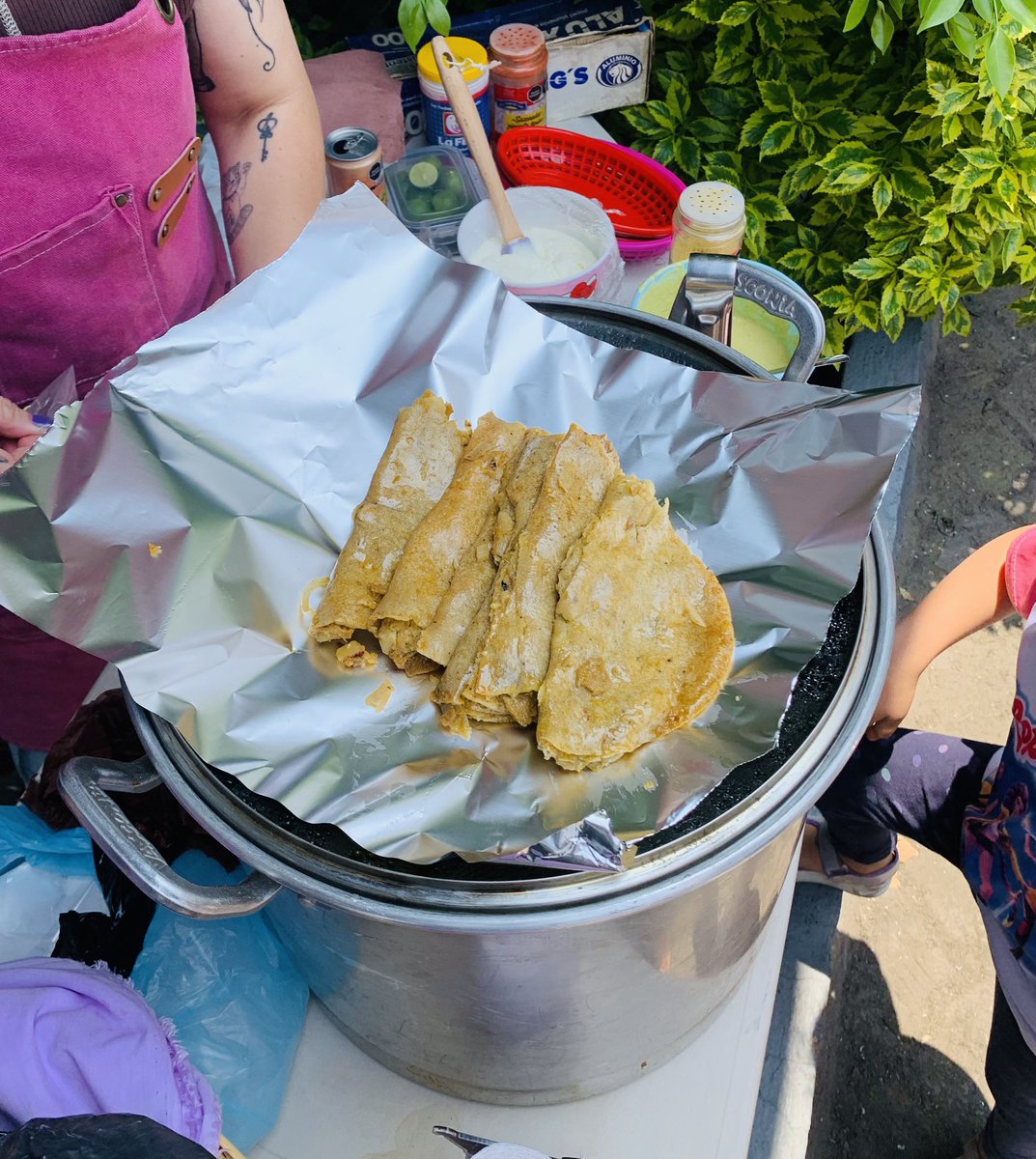 MexicoVeg's tweet image. Pfffffff. Que deliciosos los taquitos de canasta 🧺 de @kuromi_superveg de ayer en @veganomarket.mx 😋 

#Veganismo #Antiespecismo #PlantBased #GoVegan #Tacosdecanasta