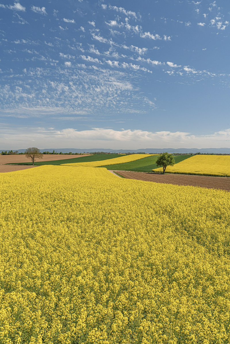 Cédrιc tweet media