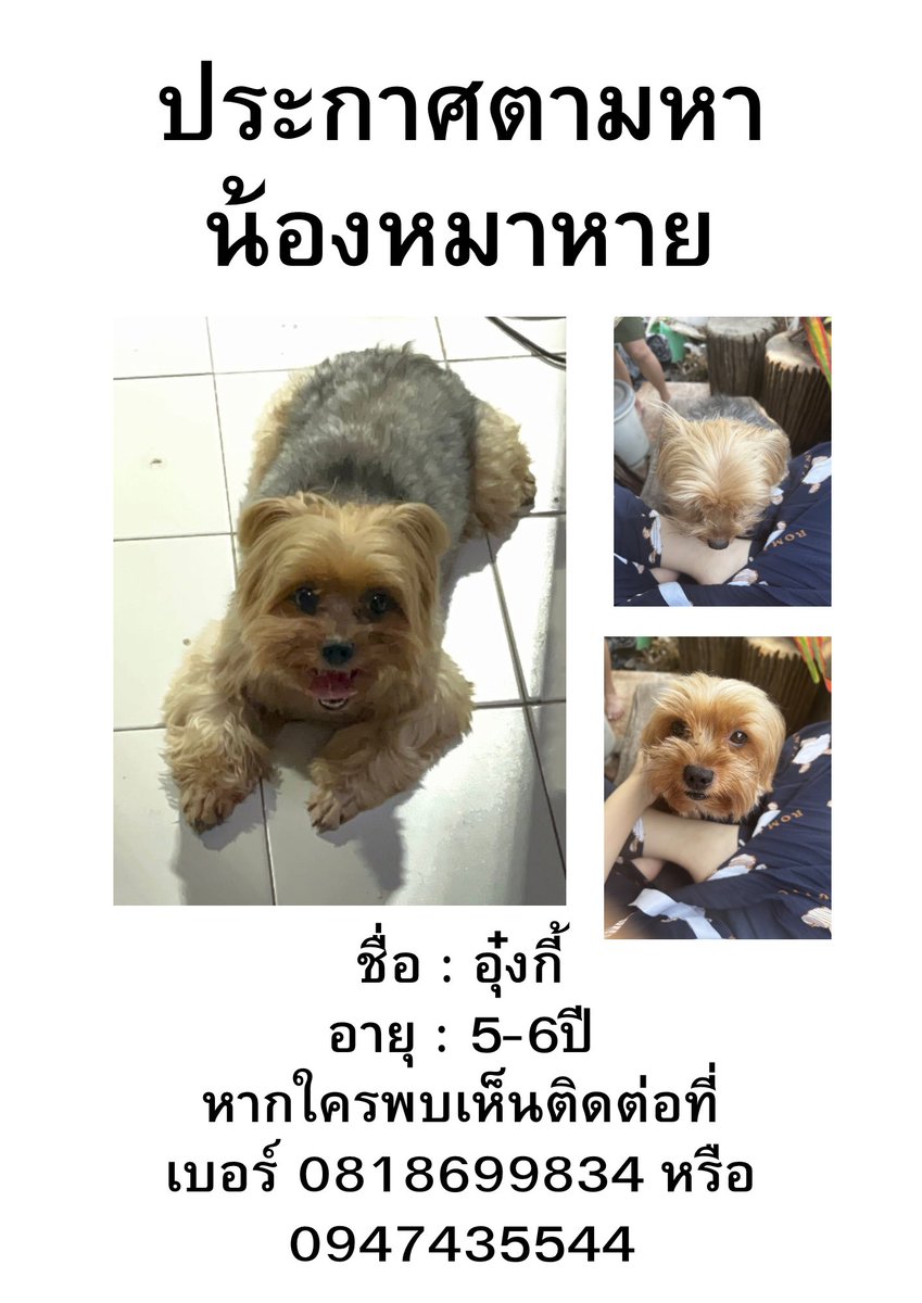 ไข่ต้มปลานิล tweet media