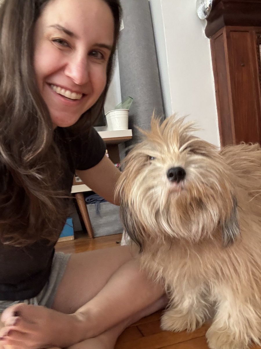 Sophie Vershbow tweet media