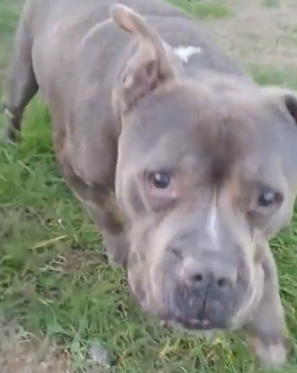 Ana Di Zacco tweet media