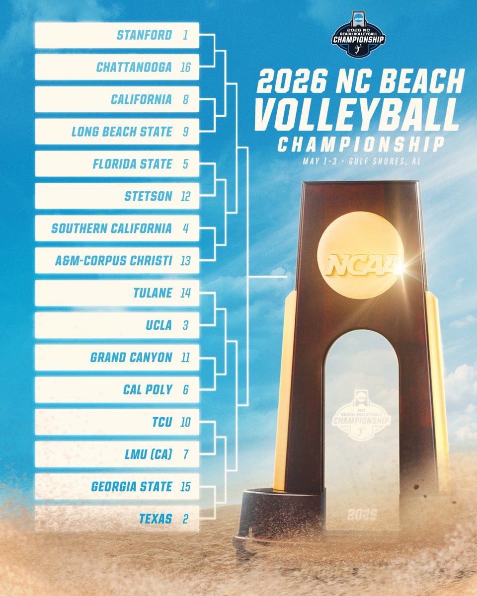 NCAA Women's Volleyball tweet media
