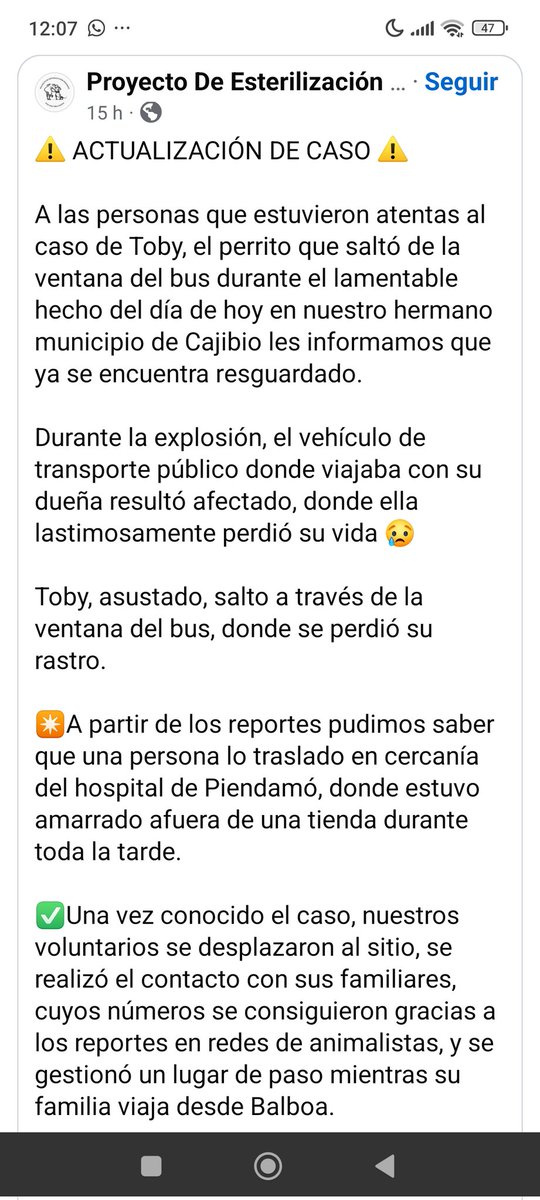 margaritavela's tweet image. Voluntarios del Proyecto de Esterilización de Piendamó se movilizaron y gestionaron hasta lograr resguardarlo y contactarlo con su familia. Infinitas gracias 💖✨
Reportan que #Toby ya comió y se encuentra sin heridas visibles.
#ReencuentrosDeCuatroPatas🐾🐾
Mira @wilcheschaux ❤️‍🩹