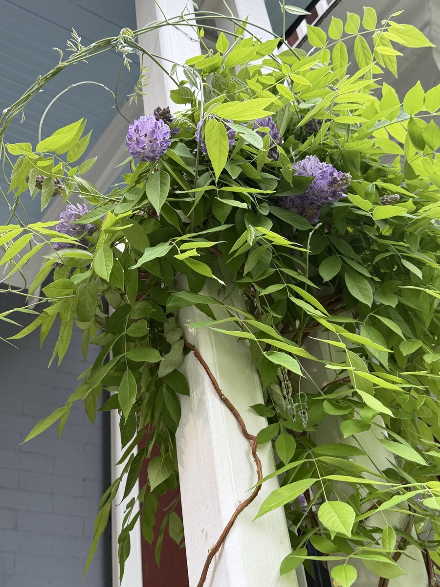 Harmeet K. Dhillon tweet media