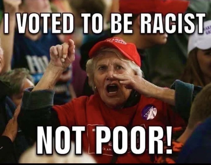 MAYBE DUTCH tweet media