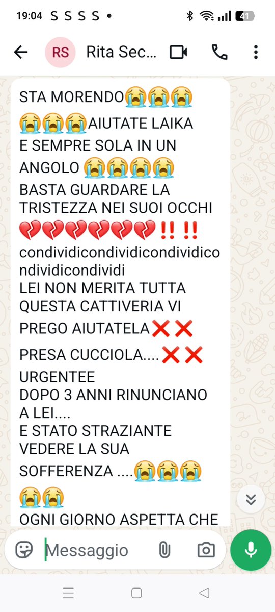 AIUTIAMO LAIKA, NON MERITA TANTO DOLORE
NAPOLI 335 146 9212
Grazieeee ❤️