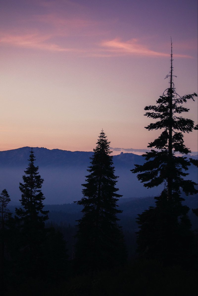 Hunter Rayl | Photographer tweet media